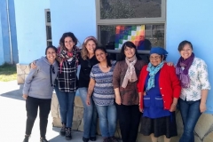 Carolina Kawall - Mural Solidario Mapuche