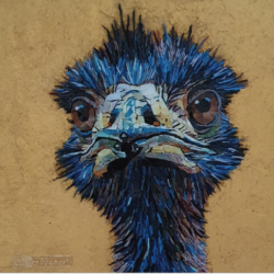 Fred, el avestruz -Kirsten Krämer