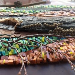 Rescatando Naturaleza – Mónica Adriana Gómez