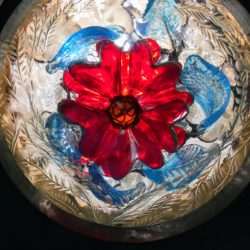 Florece Corazón – Pablo Schapira